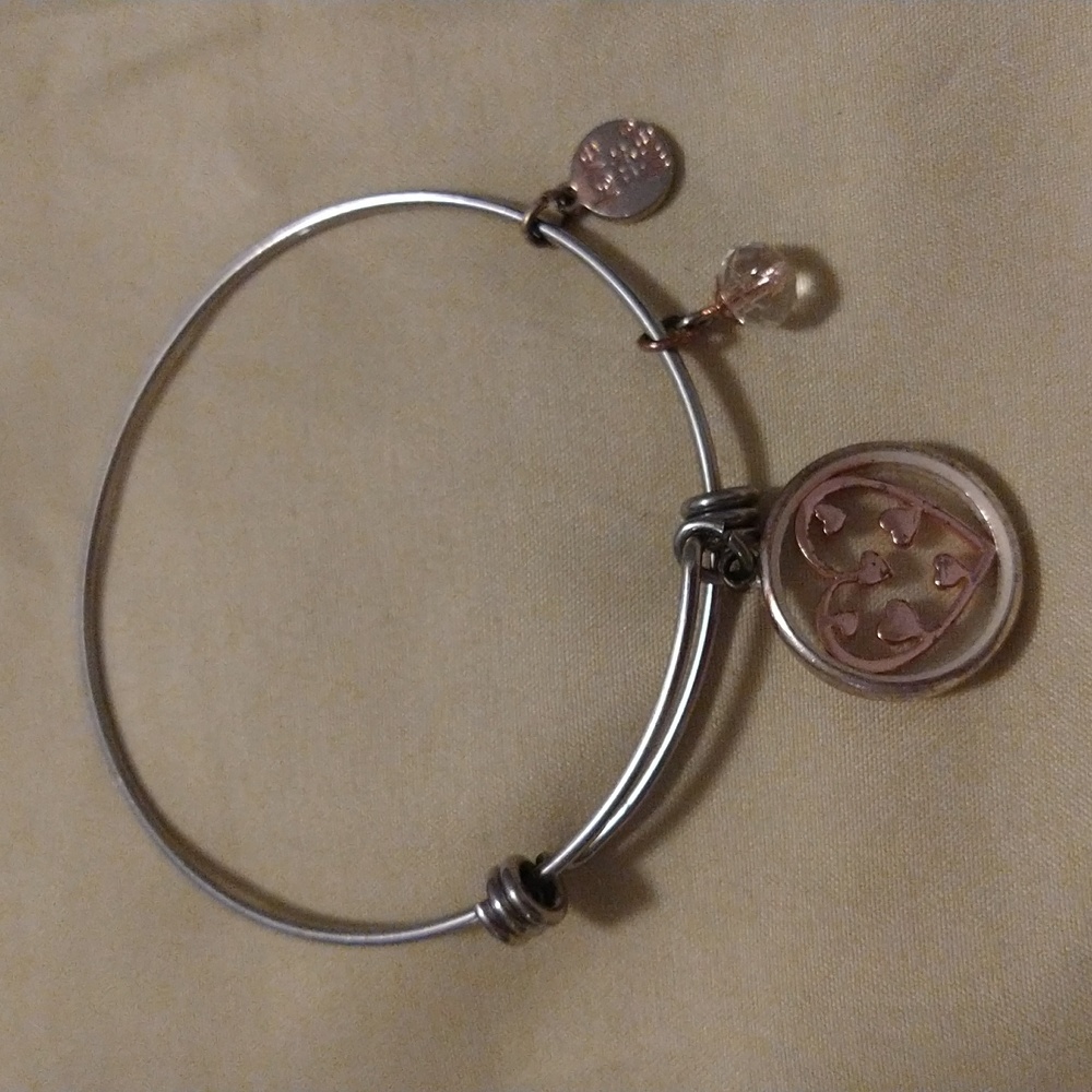 Alex and Ani Rosegold Heart Medallion With Charms